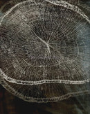 art abstrait sur anneaux d'arbres pour décoration intérieure
