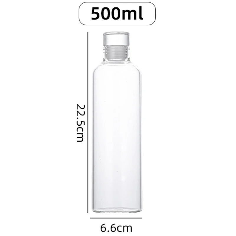 Bouteille eau verre infuseur the grande capacite sport