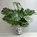 feuilles de tortue artificielles pour décoration intérieure plantes vertes