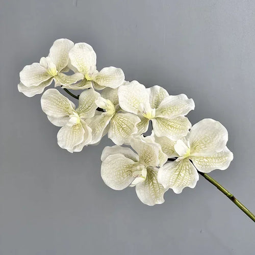 lot de 2 orchidées artificielles vanda pour décoration intérieure - vue 9 sur 12