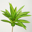 plante tropicale en pot avec palmier et bambou décoratif