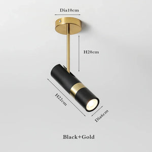 Modern adjustable LED spotlight for stylish indoor lighting