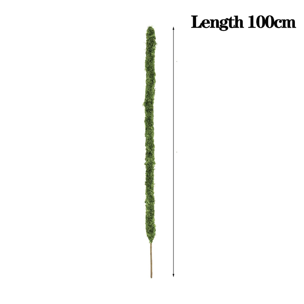 piquets pliables en mousse faits main pour plantes monstera en gros - vue 16 sur 15