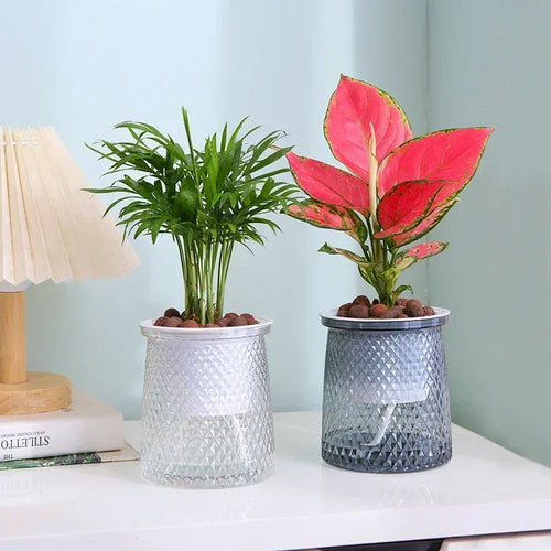 Self Watering Plant Pots, Lazy Hydroponic Water Absorbing Flower Pot, Mini Succulent Planter Tabletop Vase, Home Bonsai Decor - vue 3 sur 7