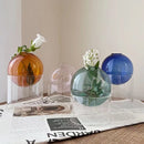 mini vase rond en verre pour décoration hydroponique écologique
