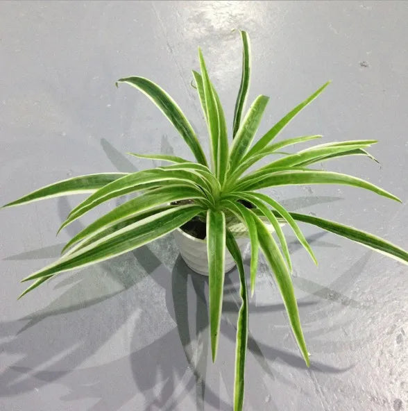 plantes artificielles chlorophytum décoratives pour intérieur sans pot - vue 9 sur 12