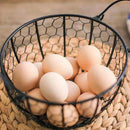 panier en métal pour rangement dœufs et accessoires de cuisine