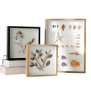 3D Photo Frame Shadow Box Frames, Hollow Bouquet Specimens Case for Crafts, Picture Frame, Memorabilia, 3-5cm
