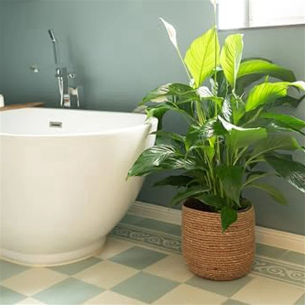 pot de fleurs tissé en jonc de mer style bohème décoratif - vue 6 sur 7