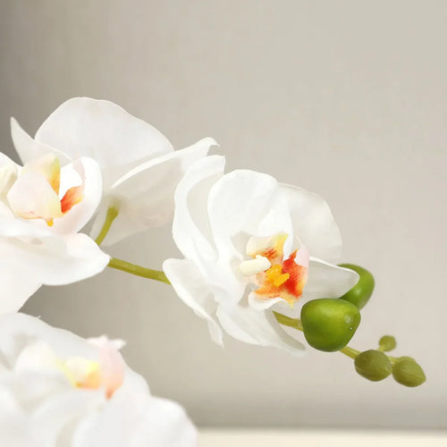 Realistic artificial phalaenopsis flowers for various decorations - vue 7 sur 11