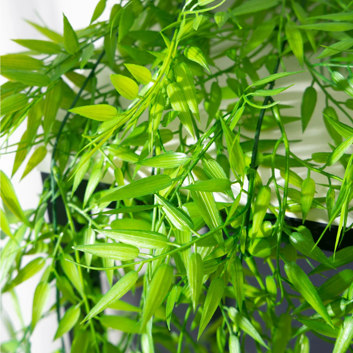 plantes suspendues en plastique pour décoration intérieure et extérieure - vue 4 sur 5