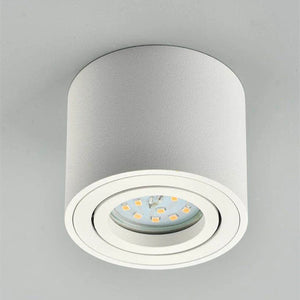 Round LED ceiling light with replaceable bulb and adjustable angle
