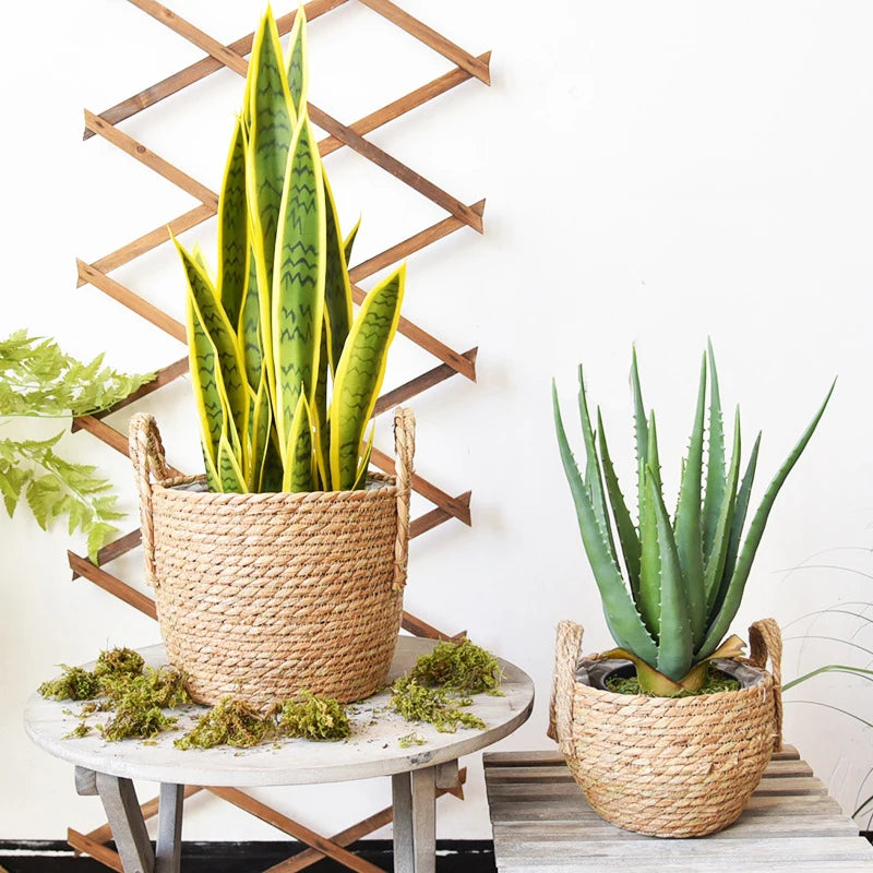 panier de rangement en jonc de mer fait main pour plantes et fleurs - vue 4 sur 9