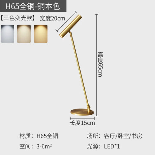 Nordic minimalist adjustable LED floor lamp for indoor use