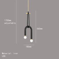 lustre créatif à 2 ampoules hauteur réglable