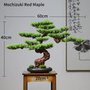 Simulation bonsai trees are suitable for decoration, immortal welcoming pine, green planting, artificial landscape, home, living