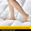 Hotel mattresses, soft cushions, home bedroom mattresses, thick tatami mats, bedding cores, single and double occupancy special
