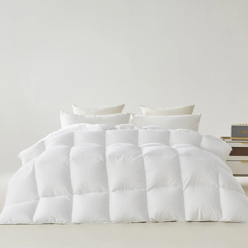 Down comforter, white goose down home dormitory blanket, winter all cotton thick quilt core, winter quilt, pure cotton quilt - vue 5 sur 6