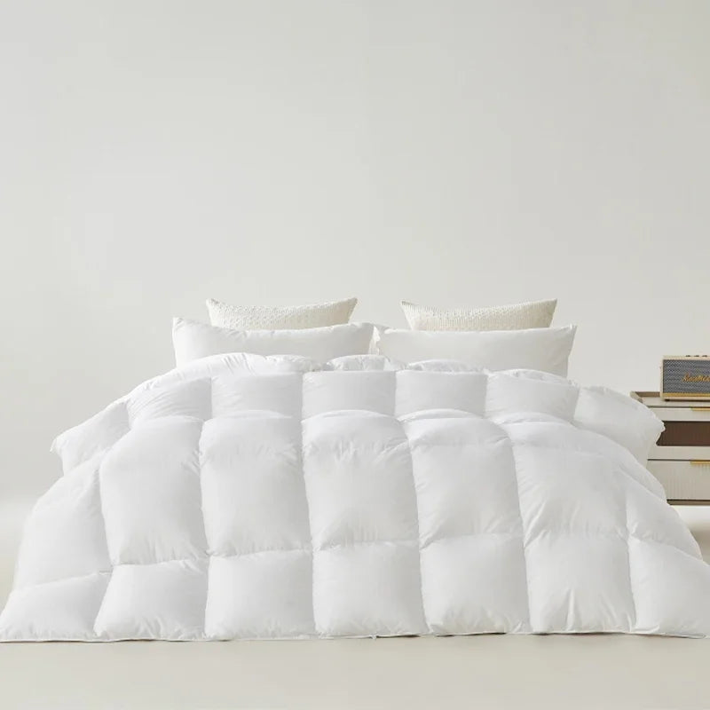 Down comforter, white goose down home dormitory blanket, winter all cotton thick quilt core, winter quilt, pure cotton quilt - vue 4 sur 6