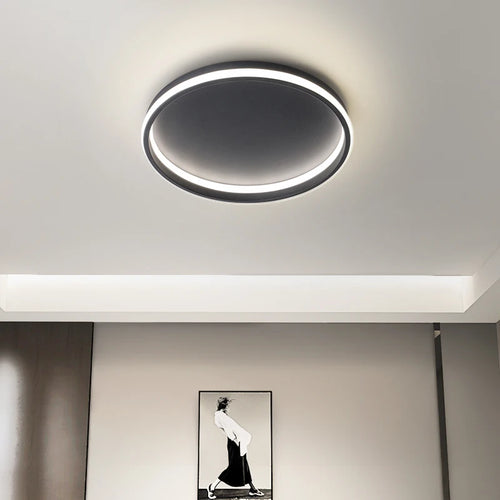 Modern minimalist ceiling lights with creative nordic round lamps - vue 2 sur 14