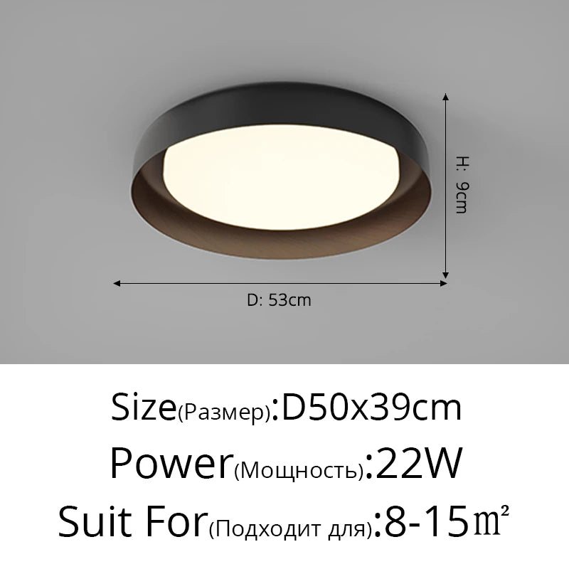 Modern minimalist Nordic designer ceiling light - vue 12 sur 14