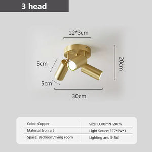 Modern LED ceiling lamp with spotlights luminaire09