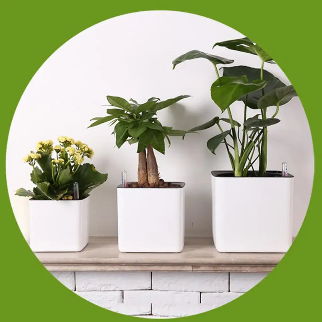 White Self Watering Planter, Water Indicator, Modern Decorative Planter Pot for all House Plants Flowers, Herbs, Vegetables - vue 5 sur 6
