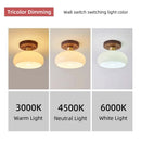 Grass Led Ceiling Lamp for Hallway, Entryway, Kitchen, Foyer Living Room Indoor Lighting white lamps home Decor Lustres fixture
