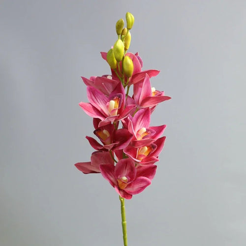Realistic cymbidium artificial flowers from New Zealand, lifelike orchid decoration - vue 10 sur 10