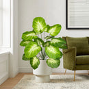 Realistic monstera plant for modern home decor