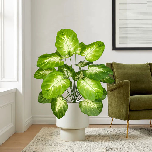 Realistic monstera plant for modern home decor - vue 4 sur 11