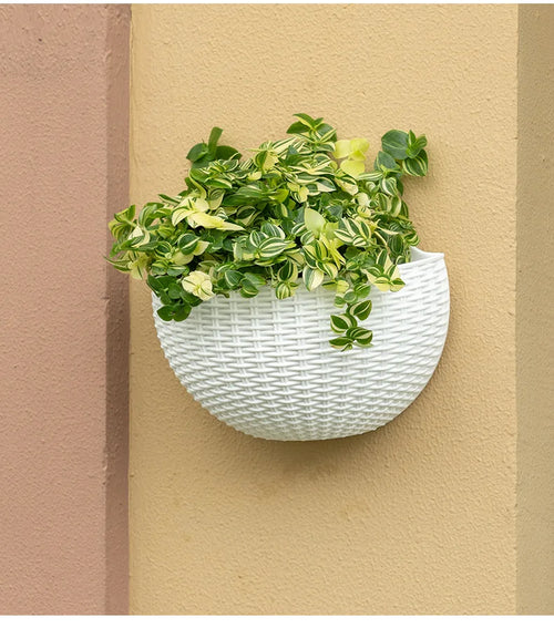 European Wall Mounted Hydroponic Plant Pot, Semi-Circular, Hanging Flower Basket, Balcony, Lazy Wall Mounted, No Drilling, Decor - vue 6 sur 16