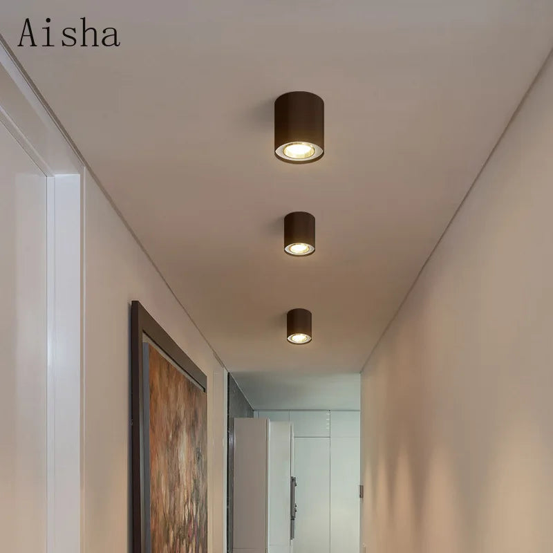 plafonnier double tête pour éclairage intérieur et extérieur