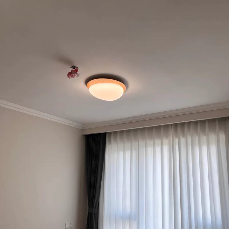 Moderne rétro bois couleur plafonnier chambre Restaurant cuisine étude pavé décoration lumière balcon Led éclairage intérieur - vue 5 sur 8