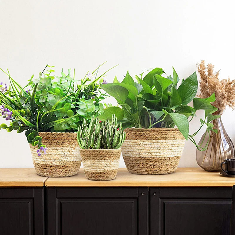 pot de fleurs tissé en seagras fait main pour plantes décoratives - vue 9 sur 8