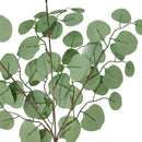plantes artificielles eucalyptus pour décoration intérieure et photographie