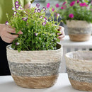 panier à fleurs en paille tressée pour plantes et jardin