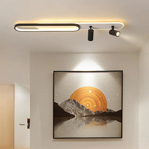 Modern LED ceiling lamp with decorative spotlight