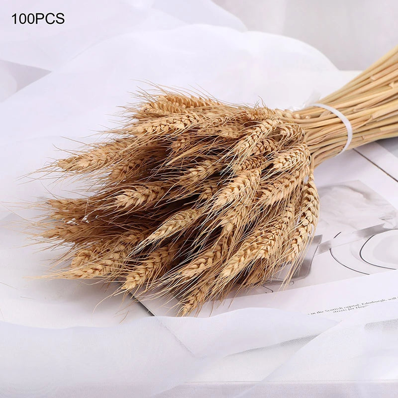 tiges de blé séchées naturelles pour décoration de fête et bouquet - vue 5 sur 6