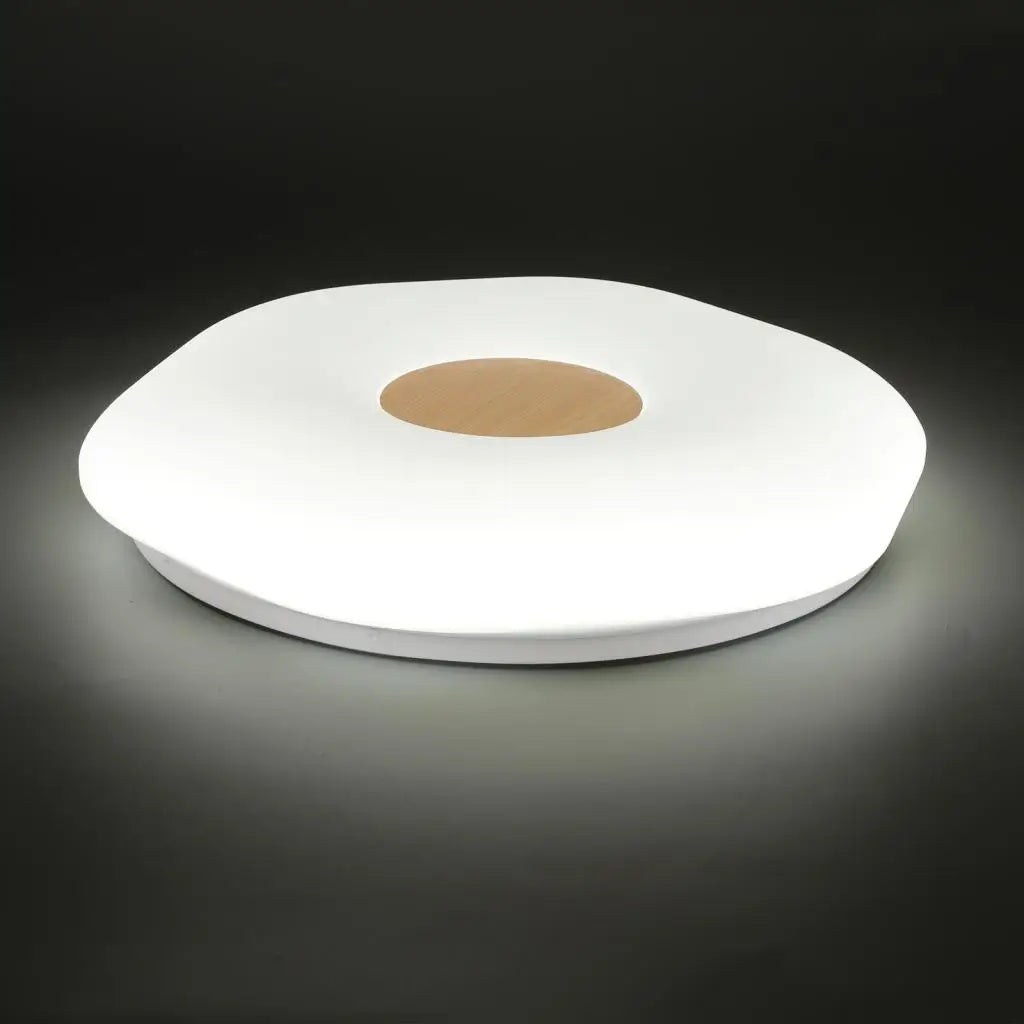 plafonniers à led vintage pour décoration intérieure industrielle rétro
