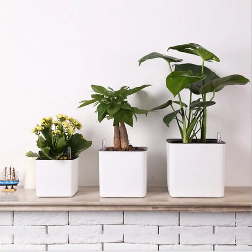 White Self Watering Planter, Water Indicator, Modern Decorative Planter Pot for all House Plants Flowers, Herbs, Vegetables - vue 3 sur 6