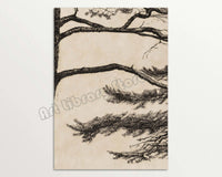 Vintage rustic pine branch triptych canvas wall art