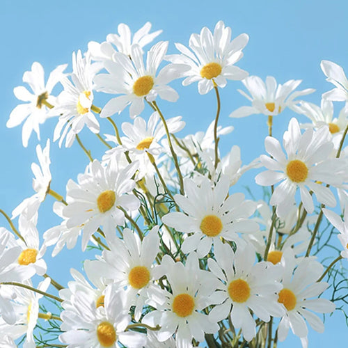 5 têtes de marguerites blanches fleurs artificielles pour décorations festives - vue 6 sur 11