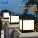 Decorative solar outdoor LED lamp with remote control, four colours