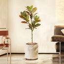 grand arbre artificiel tropical en caoutchouc pour décoration intérieur extérieur