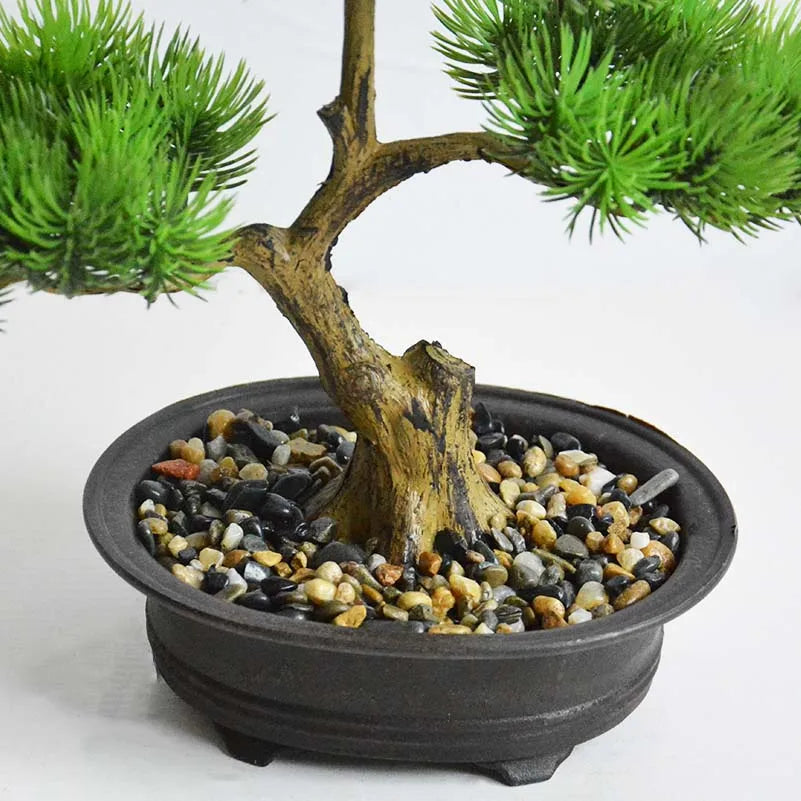 plante en pot de style chinois pour décoration intérieure - vue 4 sur 6