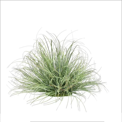 plantes artificielles en touffe pour décorations commerciales