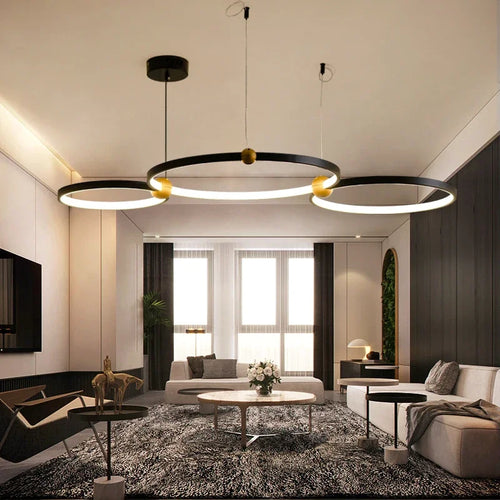 Modern minimalist LED chandelier for dining table decorative pendant light - vue 2 sur 9