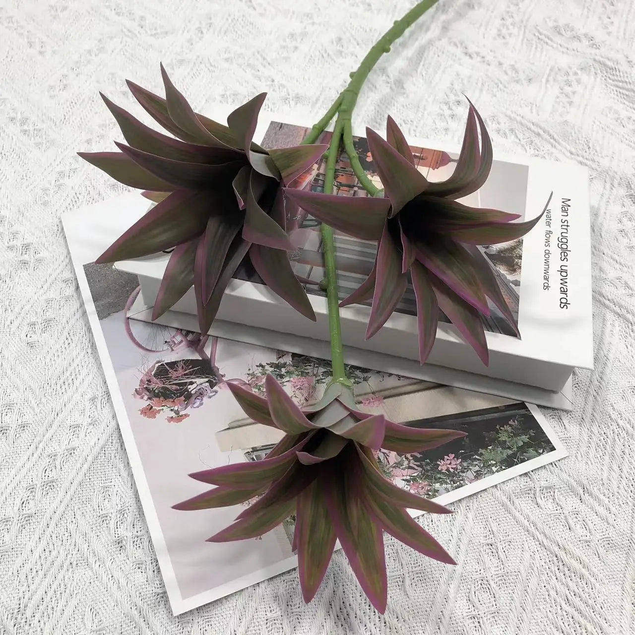 plante tropicale en pot avec palmier et bambou décoratif - vue 16 sur 18