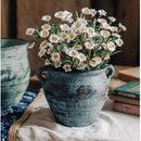 jardinières en poterie rustiques pour décoration intérieure et extérieure